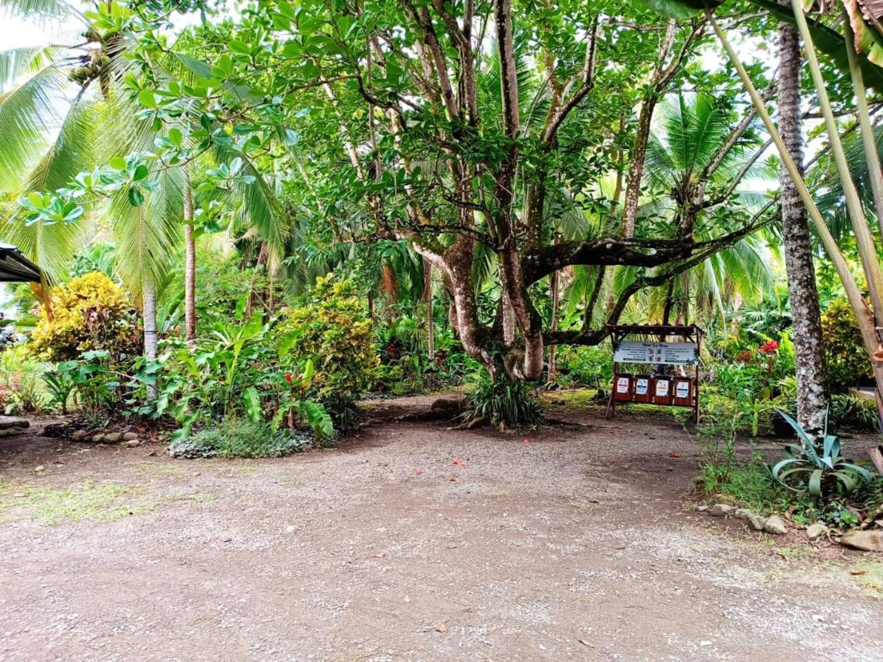 Hotel La Diosa Cahuita Zewnętrze zdjęcie