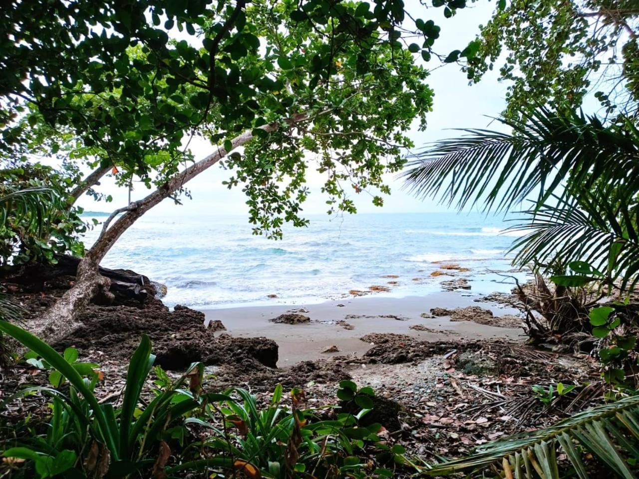 Hotel La Diosa Cahuita Zewnętrze zdjęcie