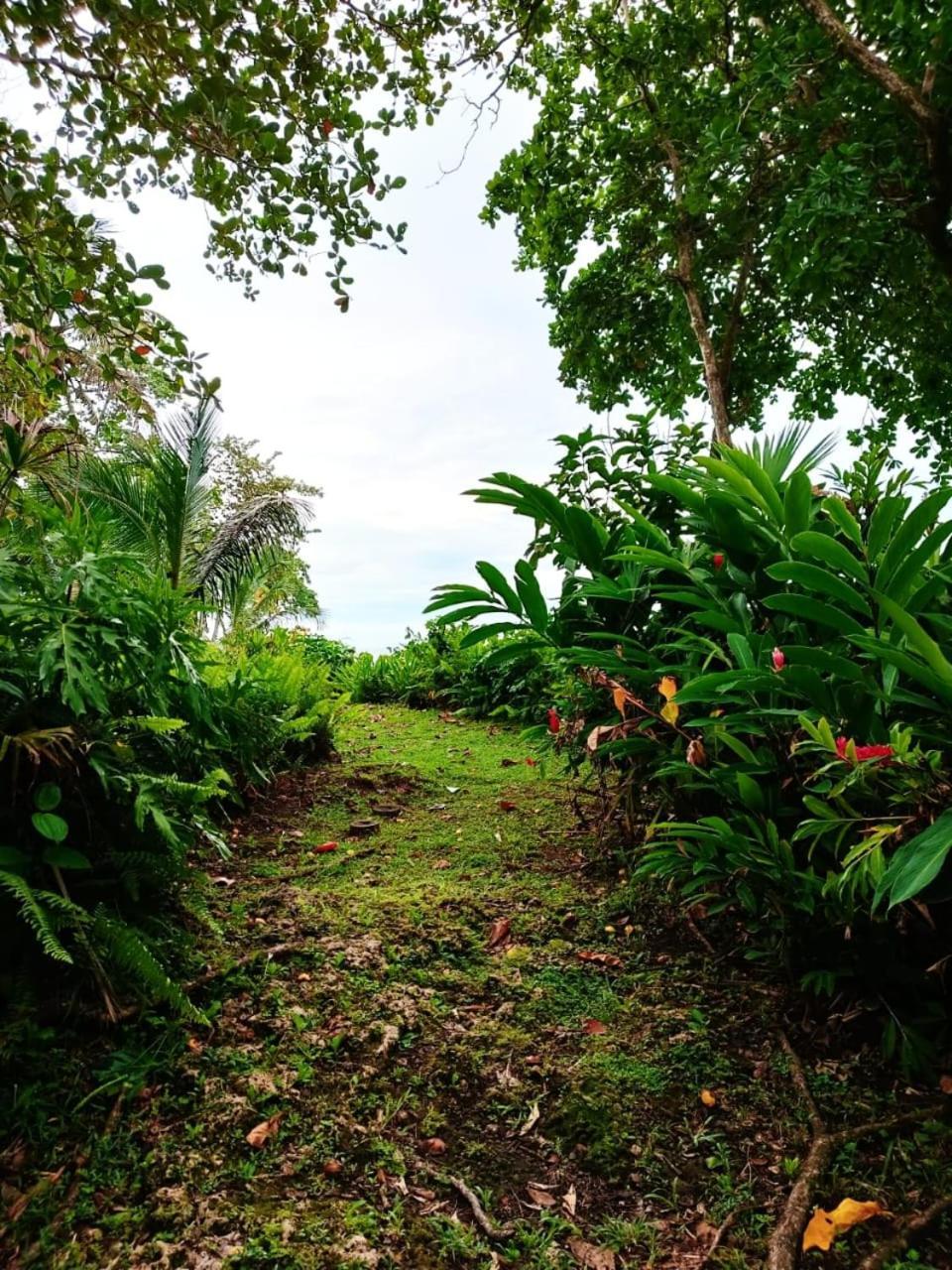 Hotel La Diosa Cahuita Zewnętrze zdjęcie