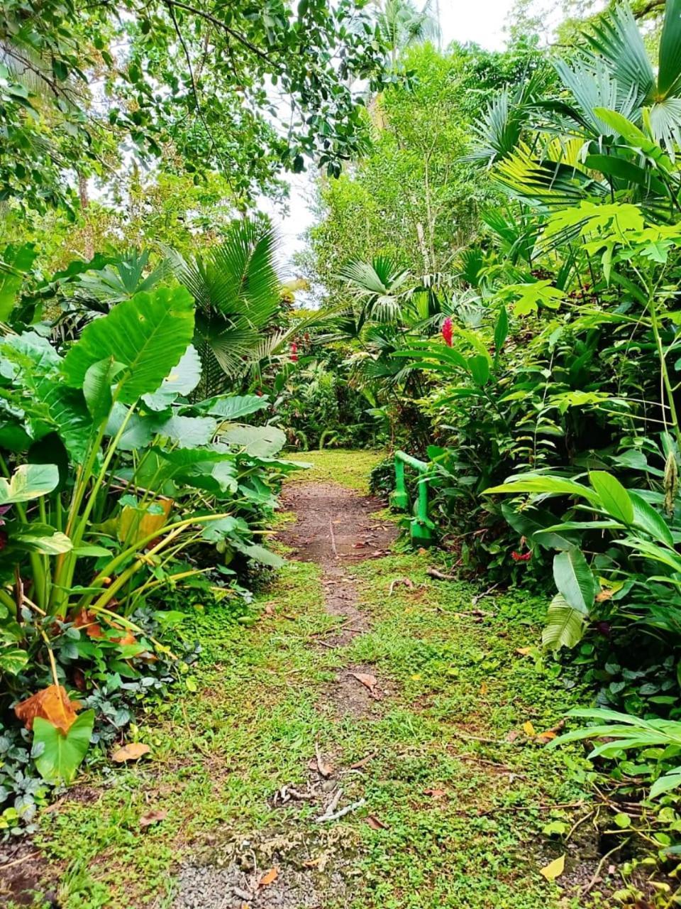 Hotel La Diosa Cahuita Zewnętrze zdjęcie