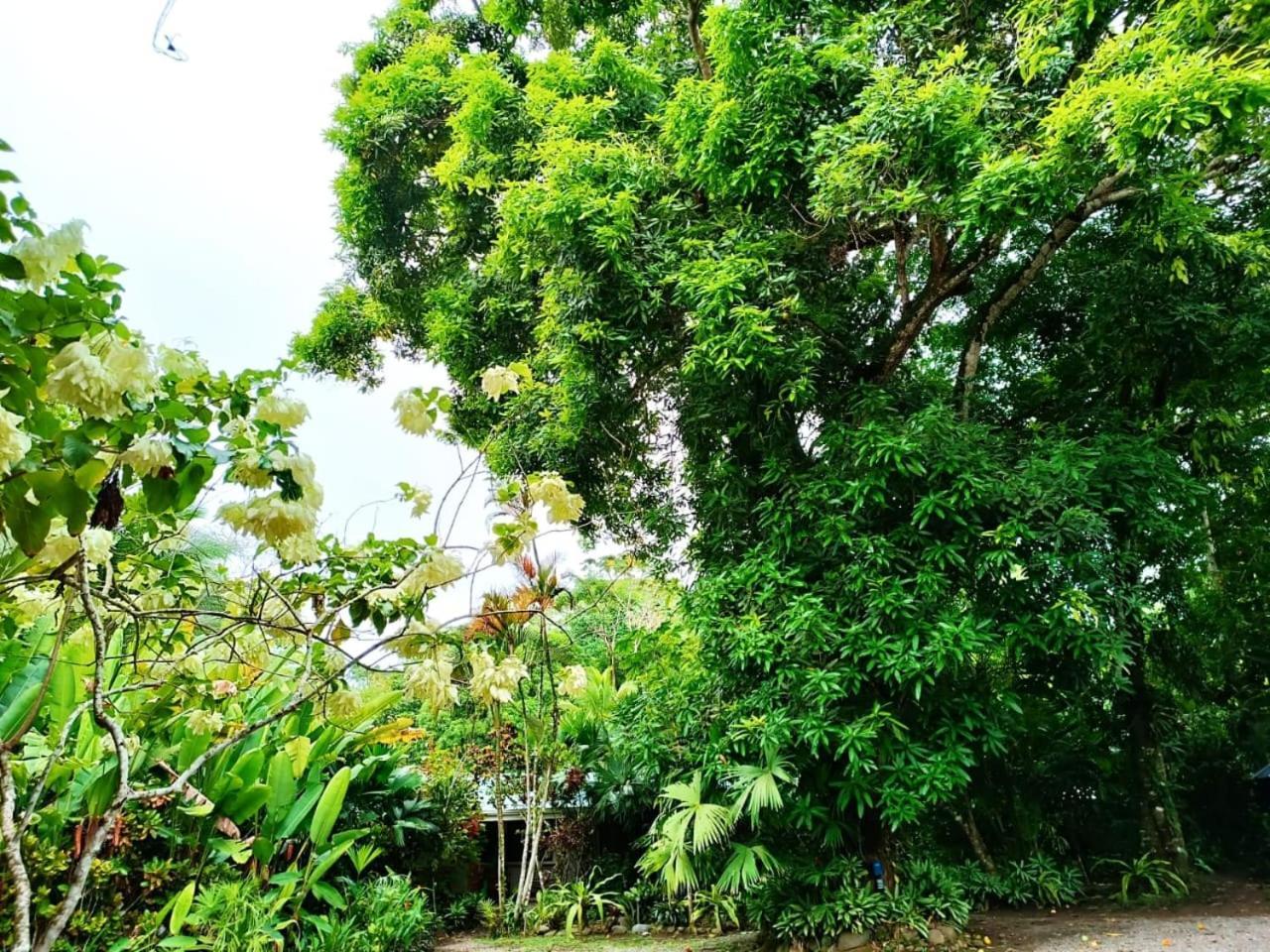 Hotel La Diosa Cahuita Zewnętrze zdjęcie