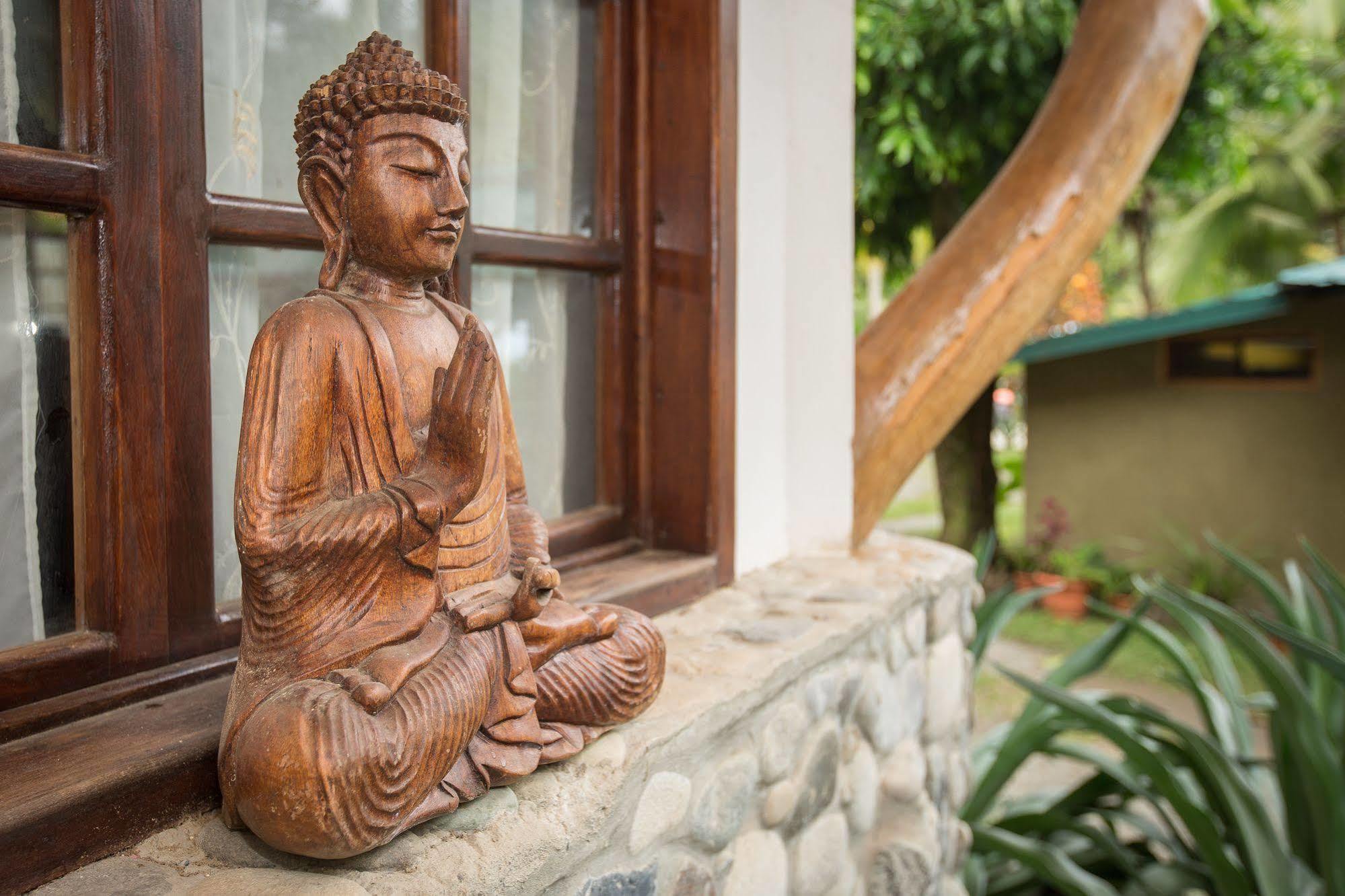 Hotel La Diosa Cahuita Zewnętrze zdjęcie